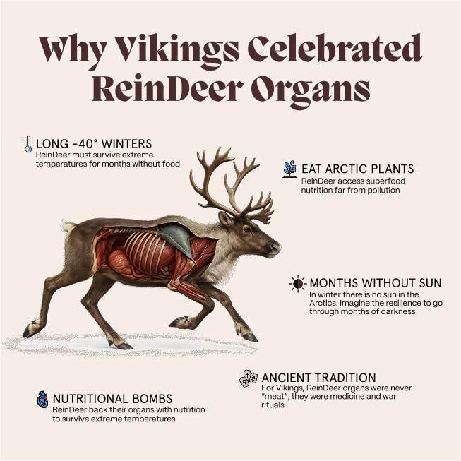 Primal Testosterone Booster | UK's First Reindeer Supplement